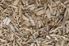 biomass boilers Trethowel