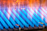 Trethowel gas fired boilers